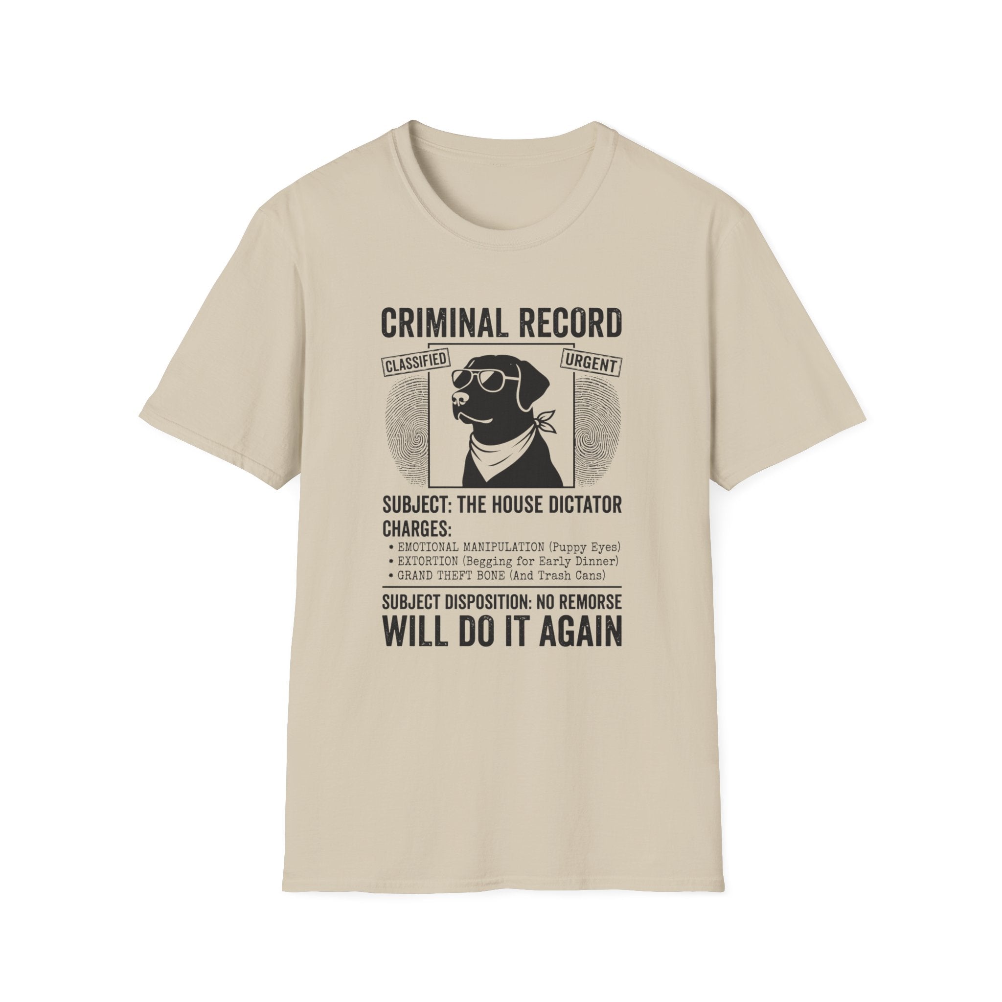 The House Dictator Tee