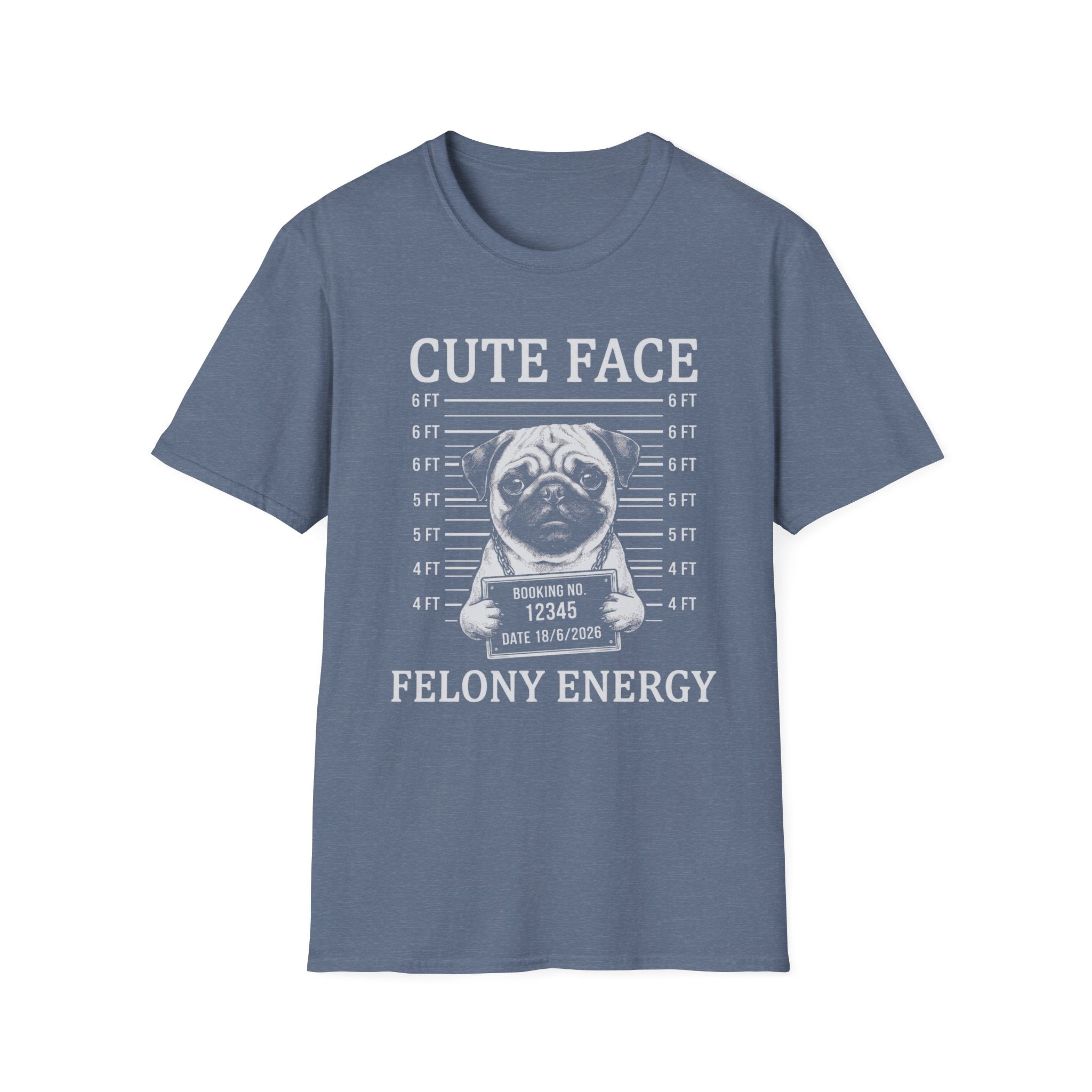 Pug Cute Face Felony Energy Tee