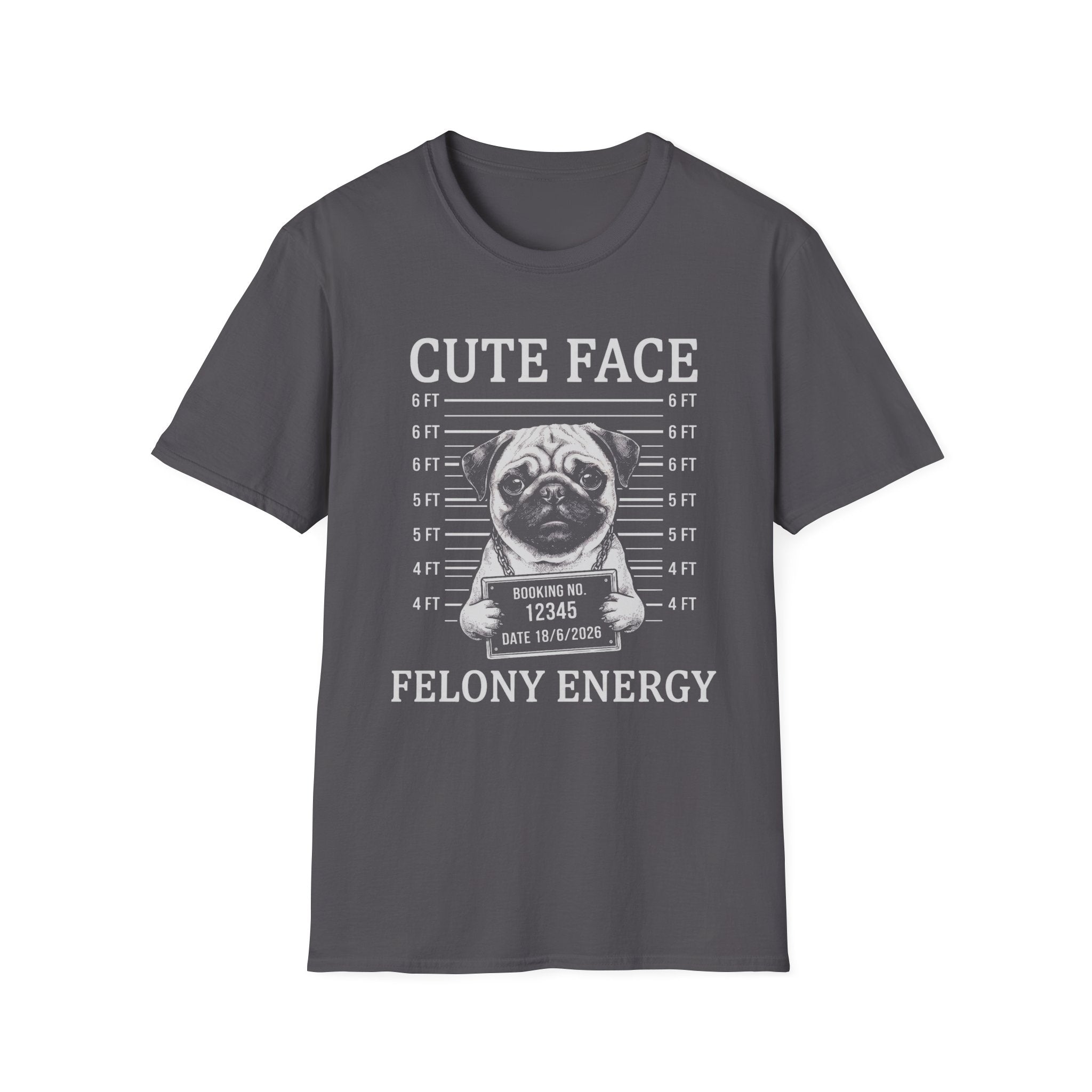 Pug Cute Face Felony Energy Tee
