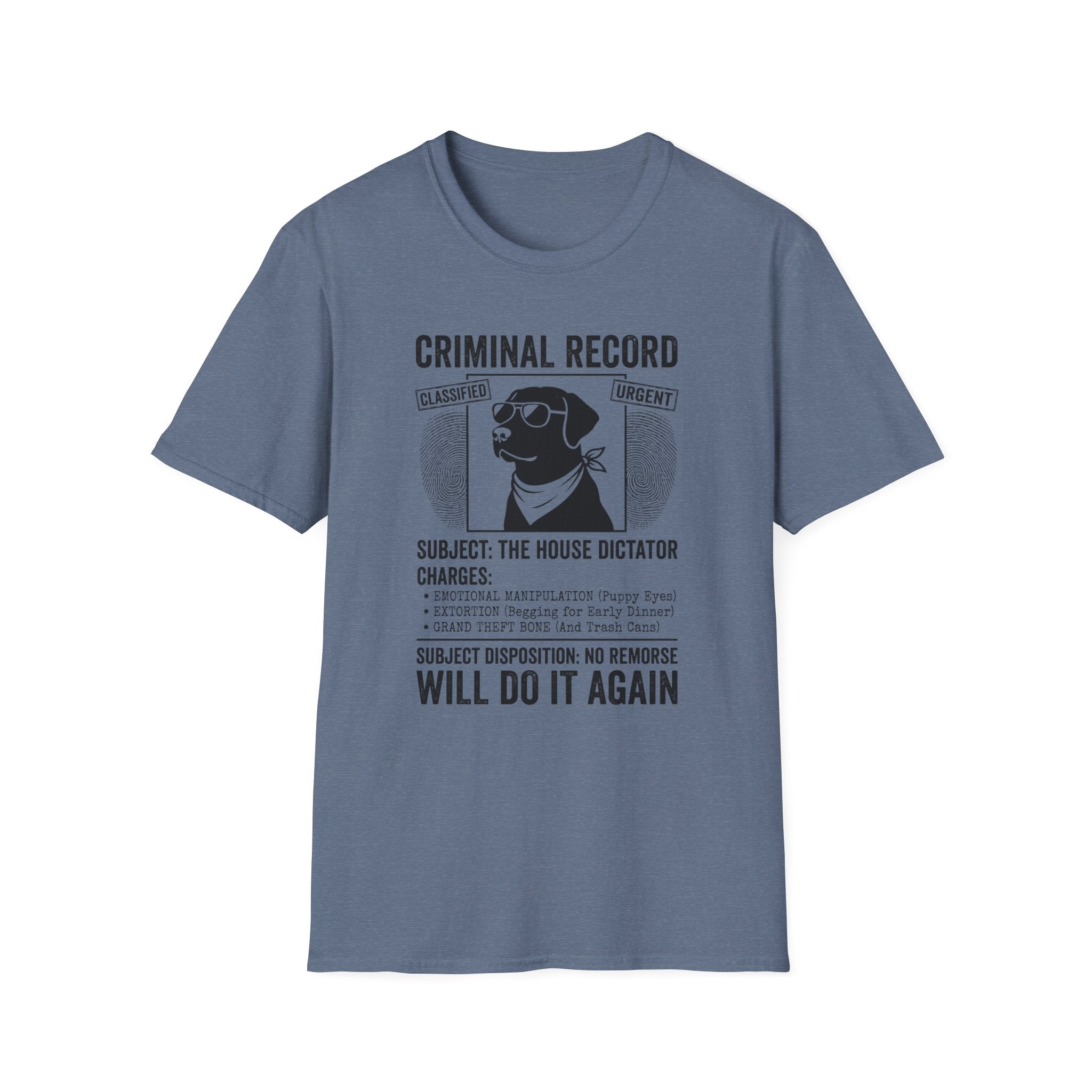 The House Dictator Tee