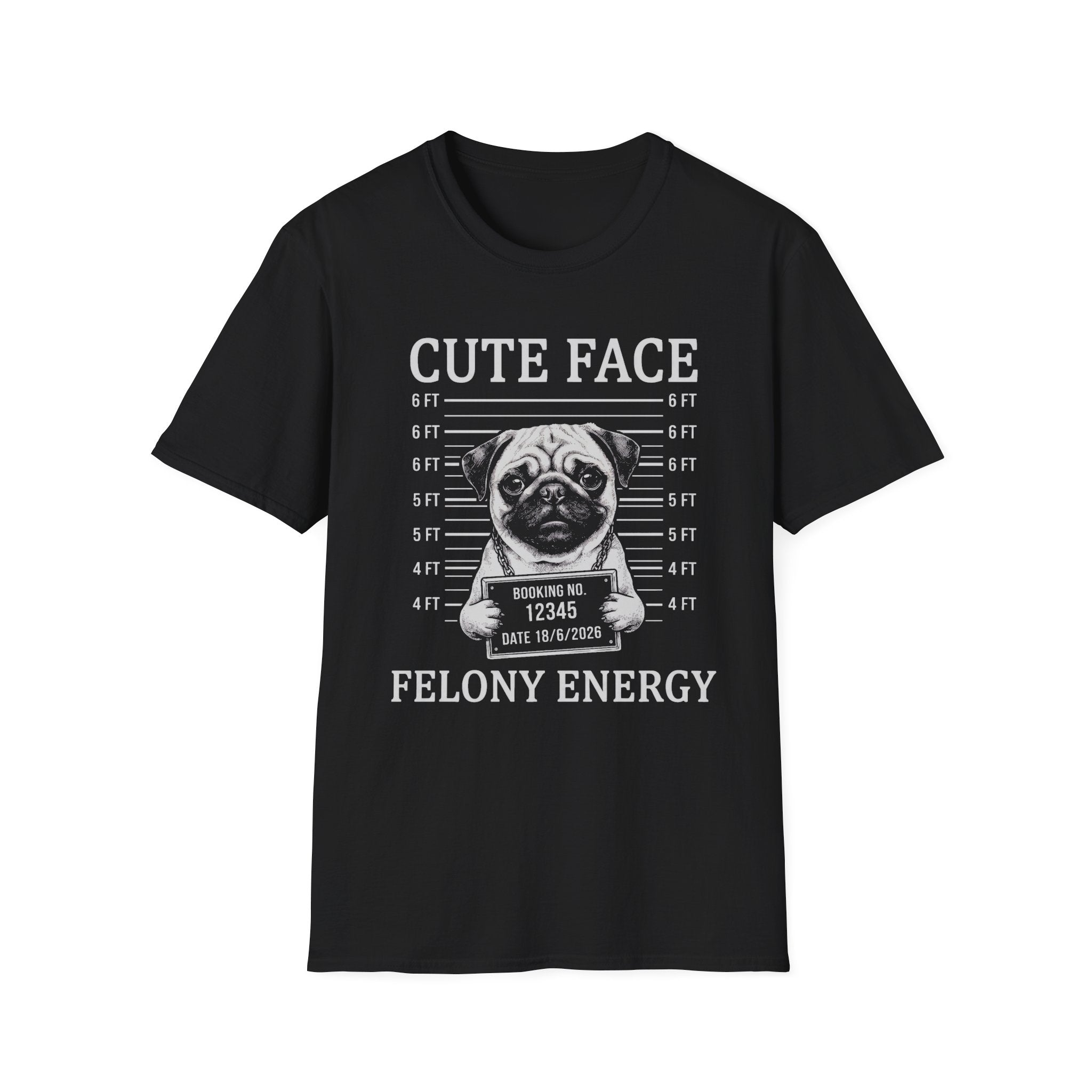 Pug Cute Face Felony Energy Tee