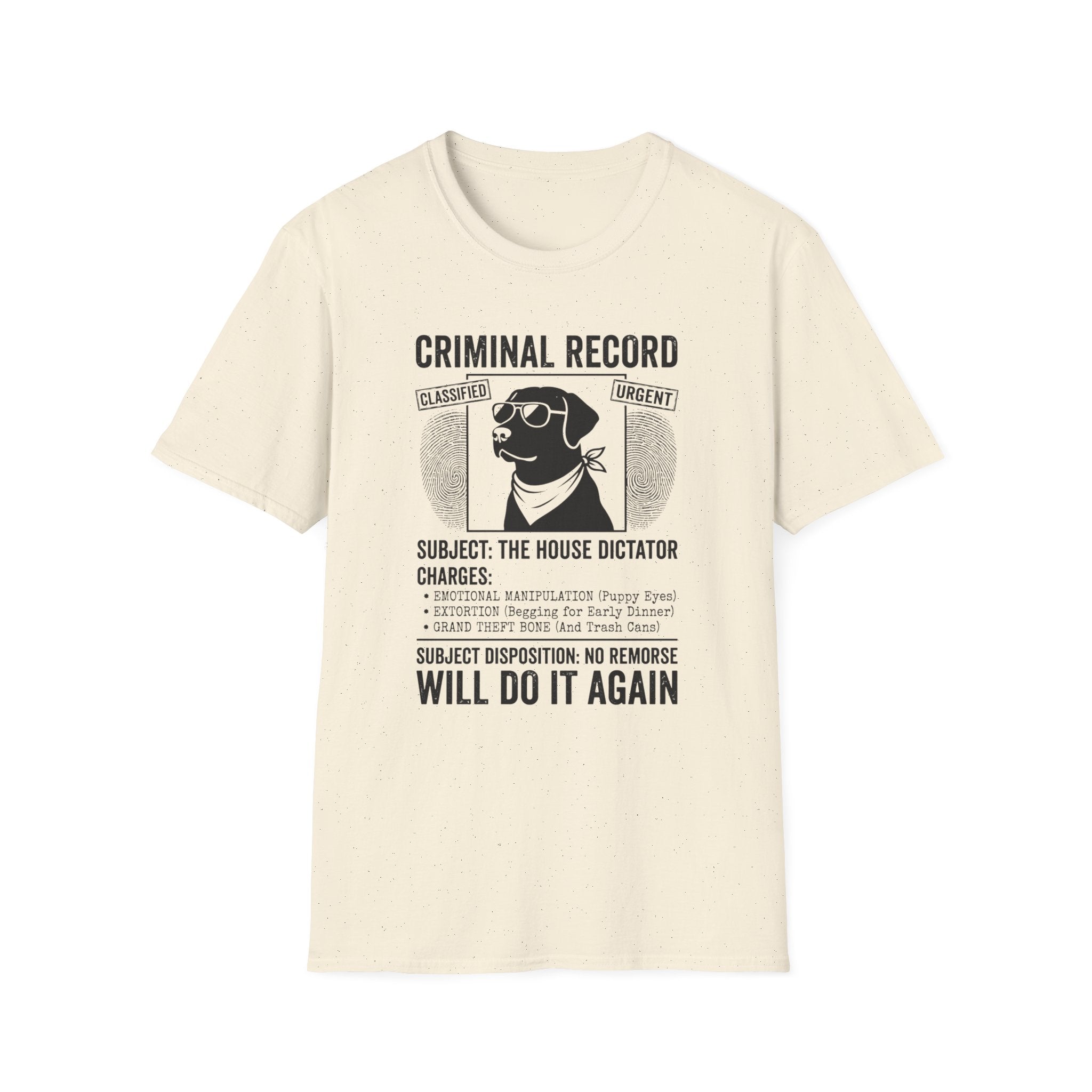 The House Dictator Tee