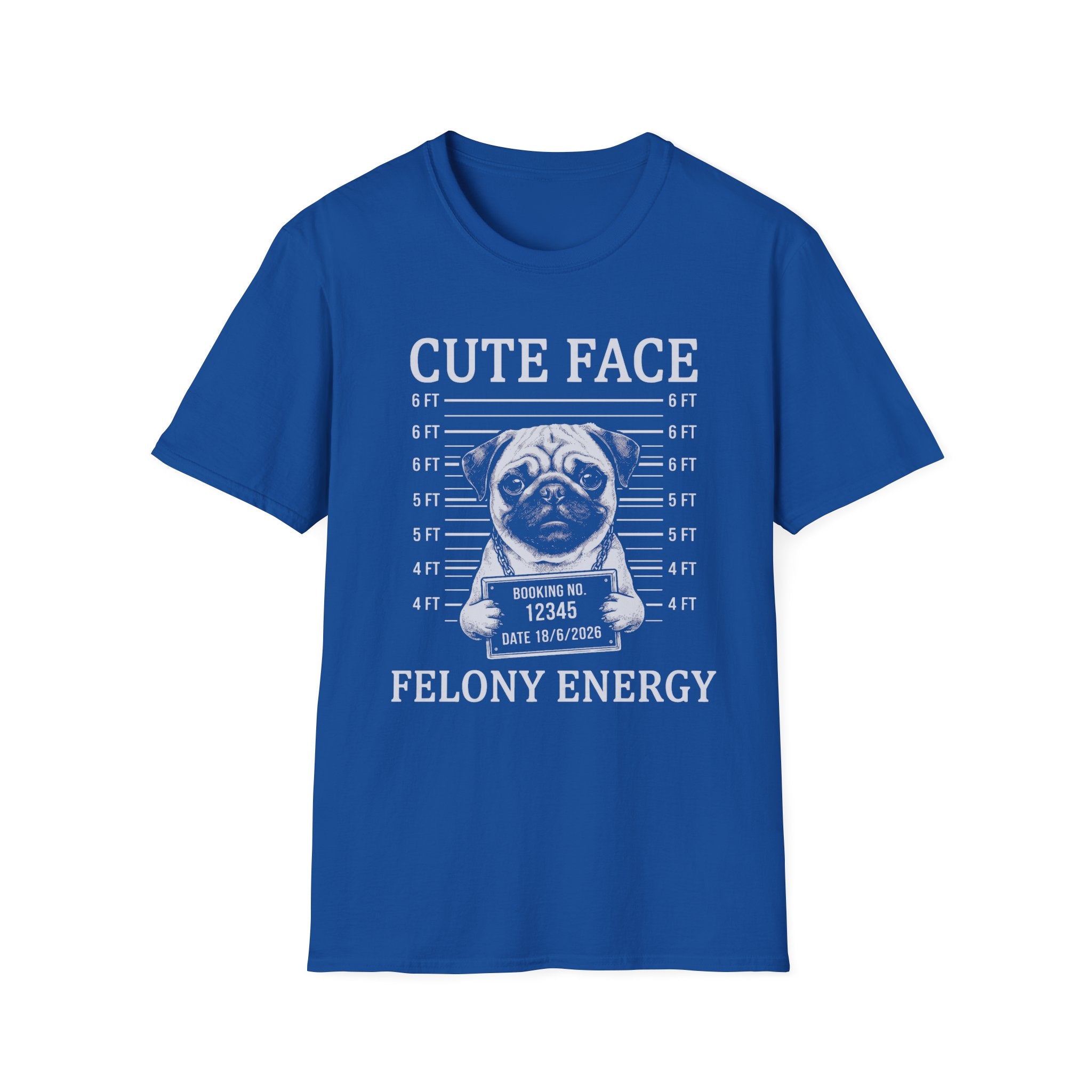 Pug Cute Face Felony Energy Tee