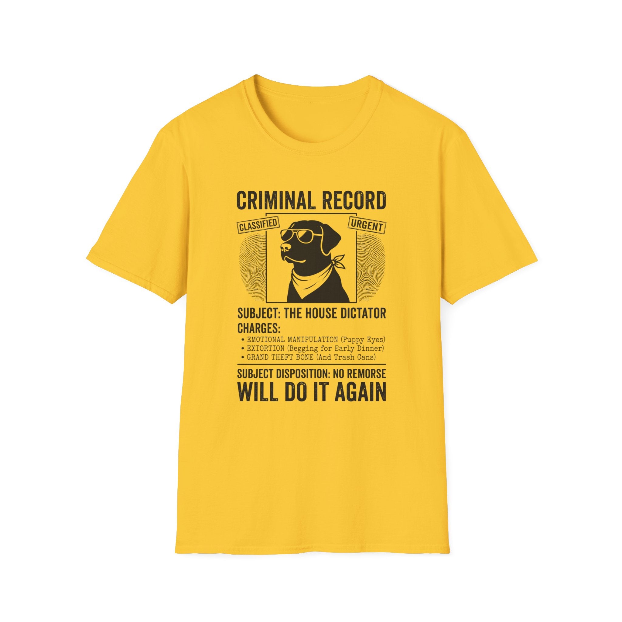 The House Dictator Tee
