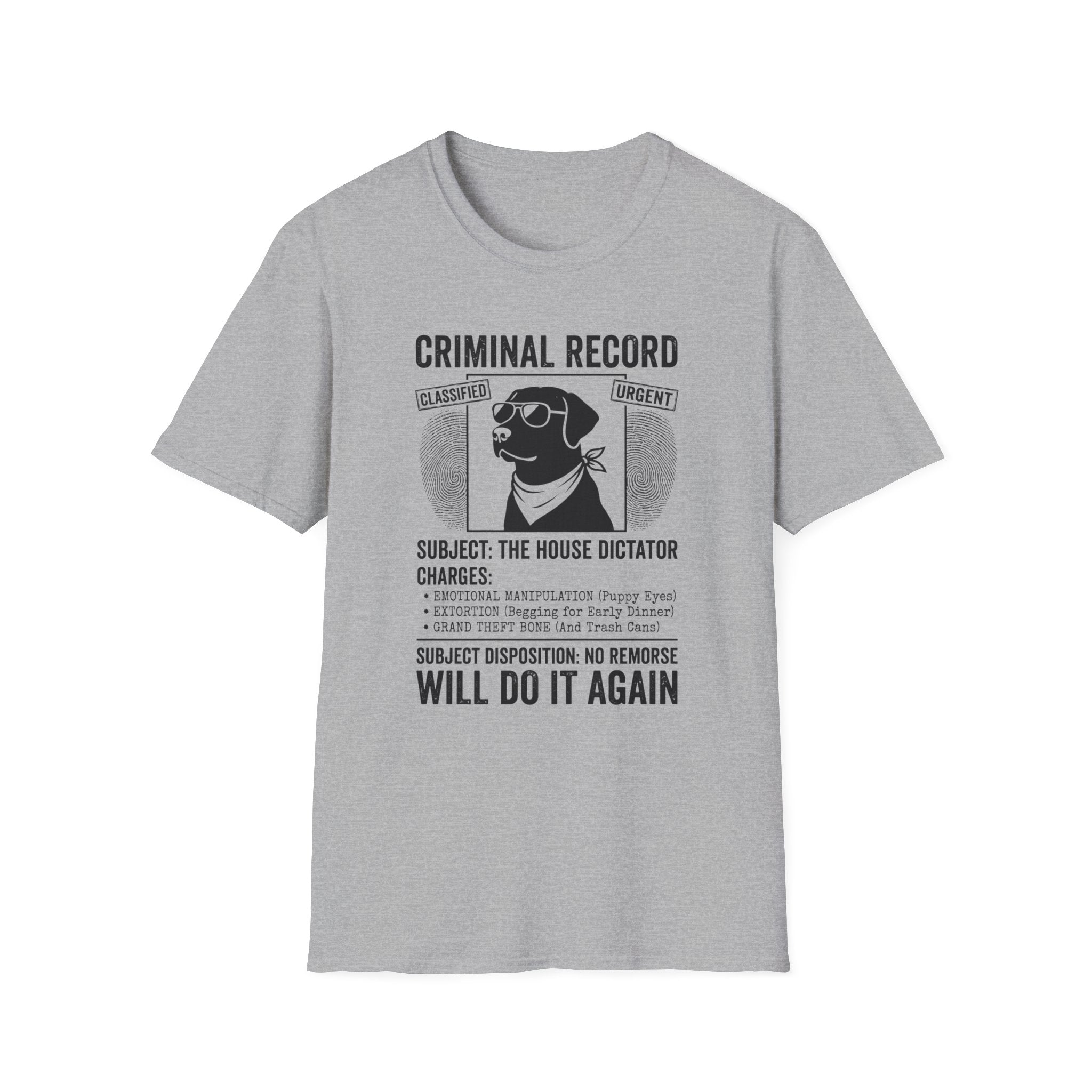 The House Dictator Tee