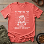 Pug Cute Face Felony Energy Tee